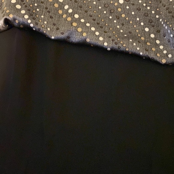 ELiSABETH 100% Silk ascending moon Midi Skirt | 24 | NWOT - Picture 6 of 11